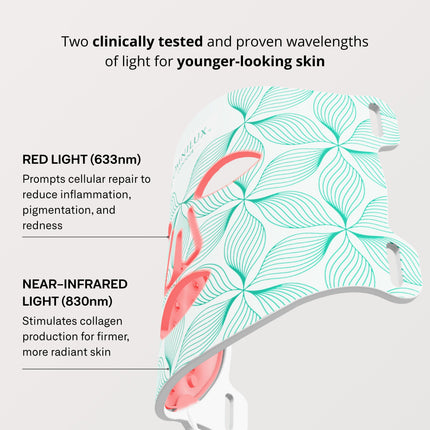 StrideNurture Contour Face